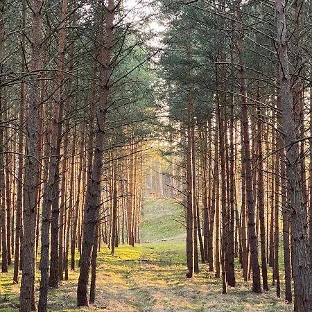 Apartamento Auf Pferdehof *