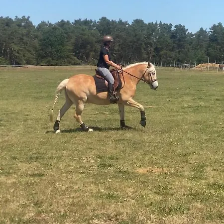 Auf Pferdehof Apartamento *