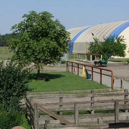 Auf Pferdehof Dreetz