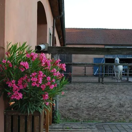 Auf Pferdehof * Dreetz