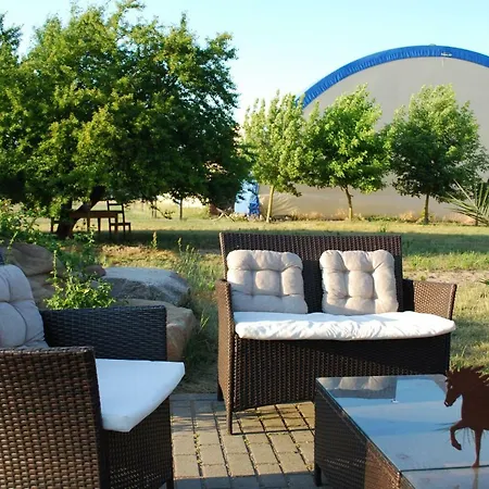 Auf Pferdehof * Dreetz